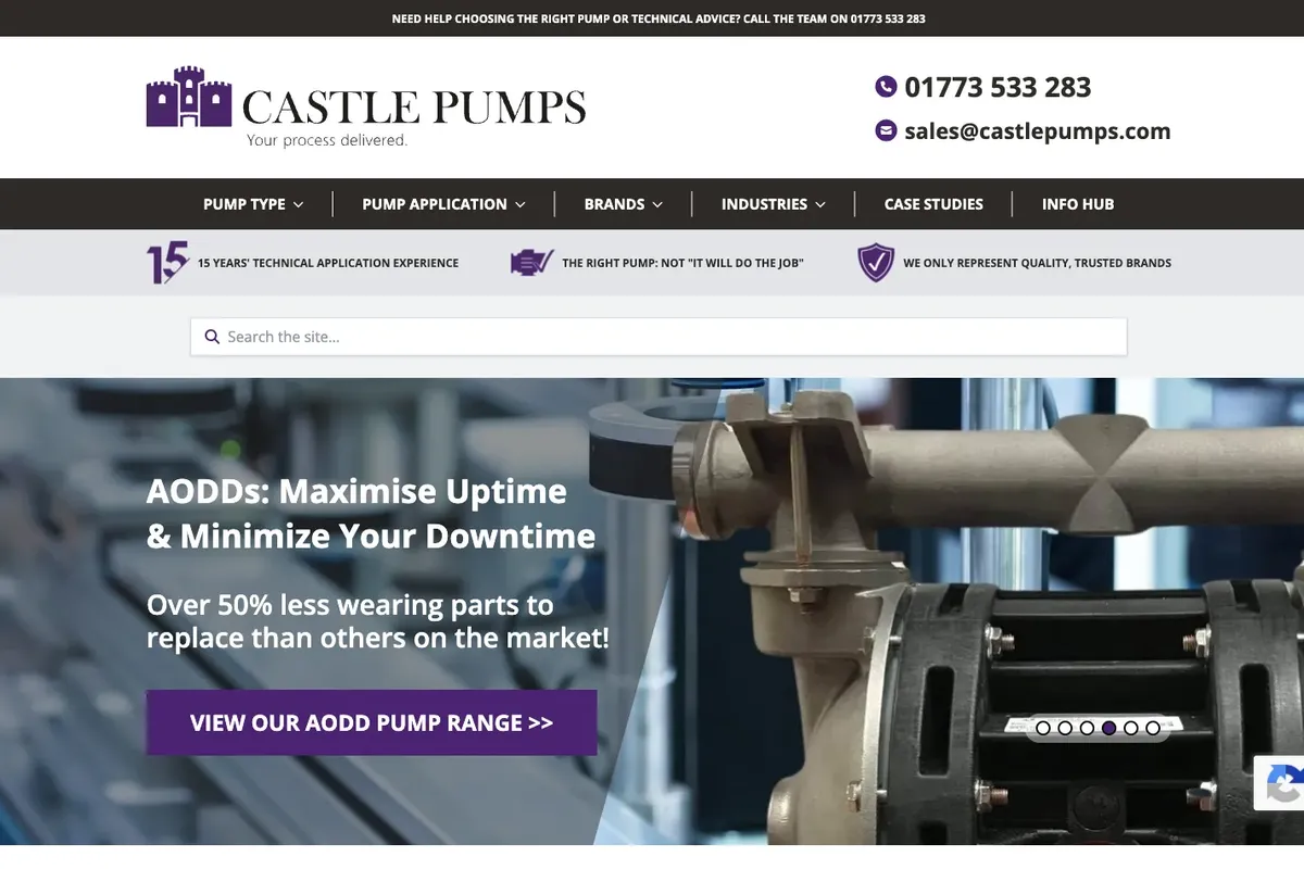 Castle Pumps